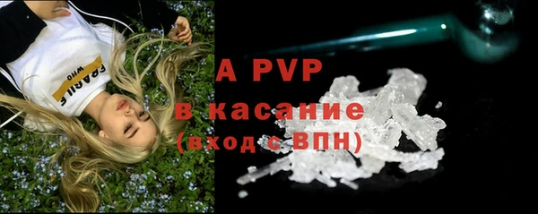 дживик Арсеньев