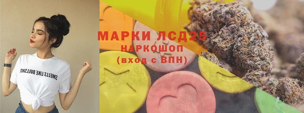 spice Аркадак