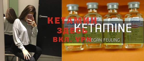 дживик Арсеньев