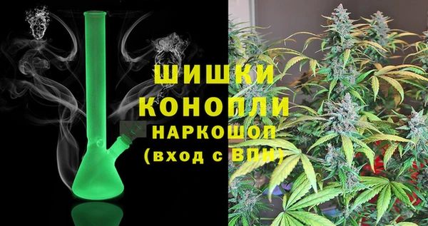 spice Аркадак
