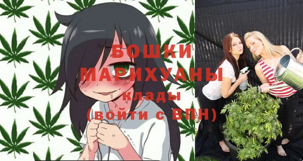 spice Аркадак