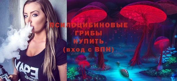 spice Аркадак