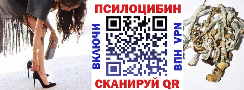 Галлюциногенные грибы Psilocybine cubensis  дарнет шоп  Слободской 