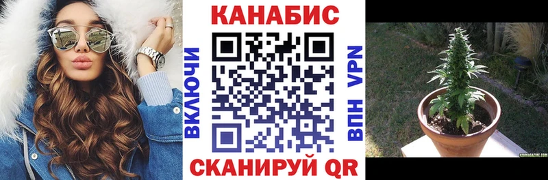 Каннабис ГИДРОПОН  ссылка на мегу как войти  Слободской 